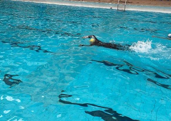 قطاع خدمة المجتمع وتنمية البيئة جامعة حلوان